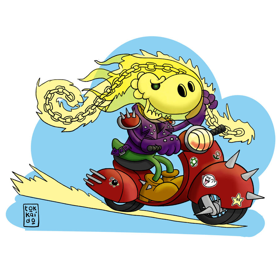 Yoshi Raider Yoshi Raider